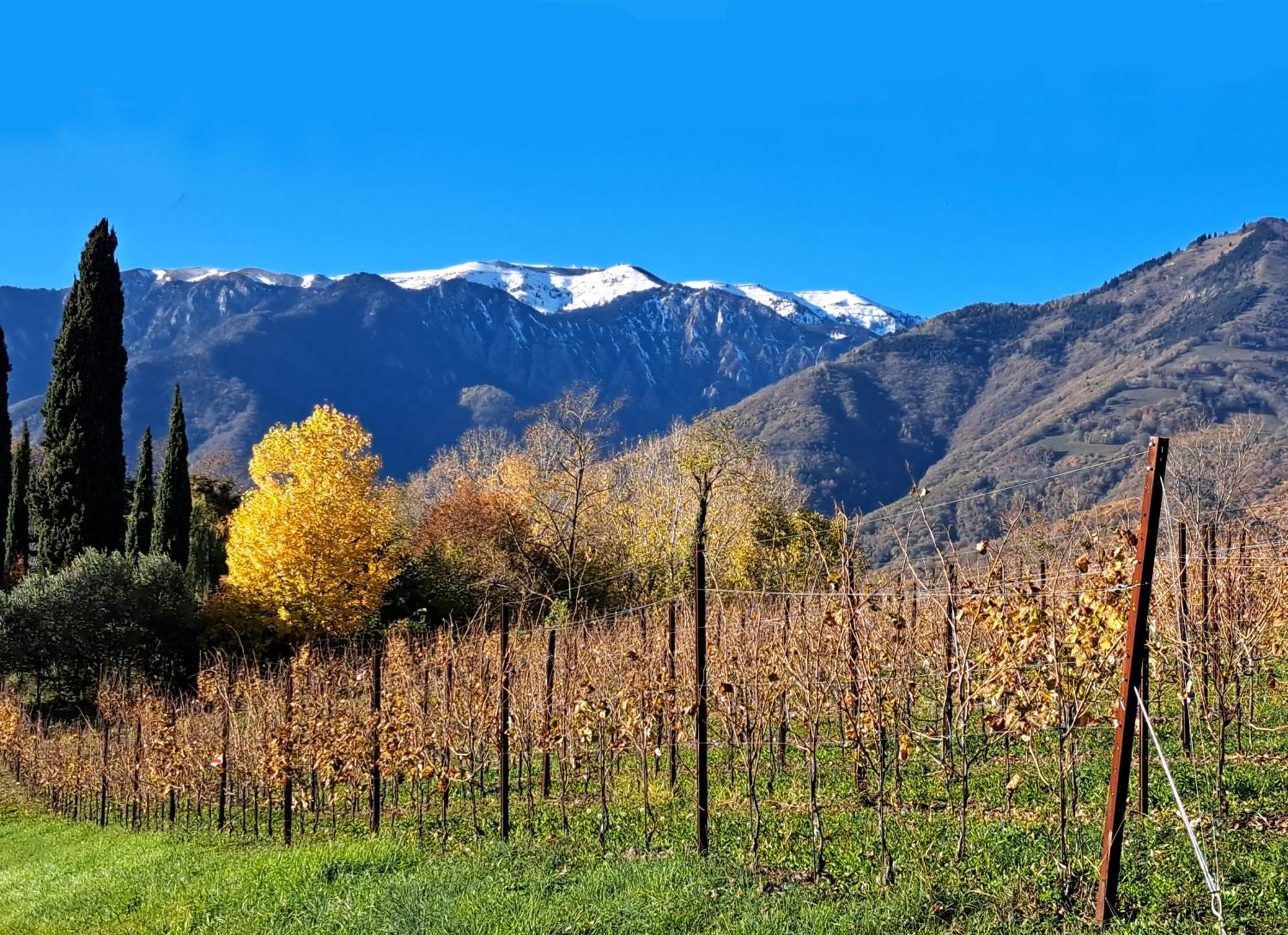 Agriturismo Riva Beata Cavaso Del Tomba المظهر الخارجي الصورة