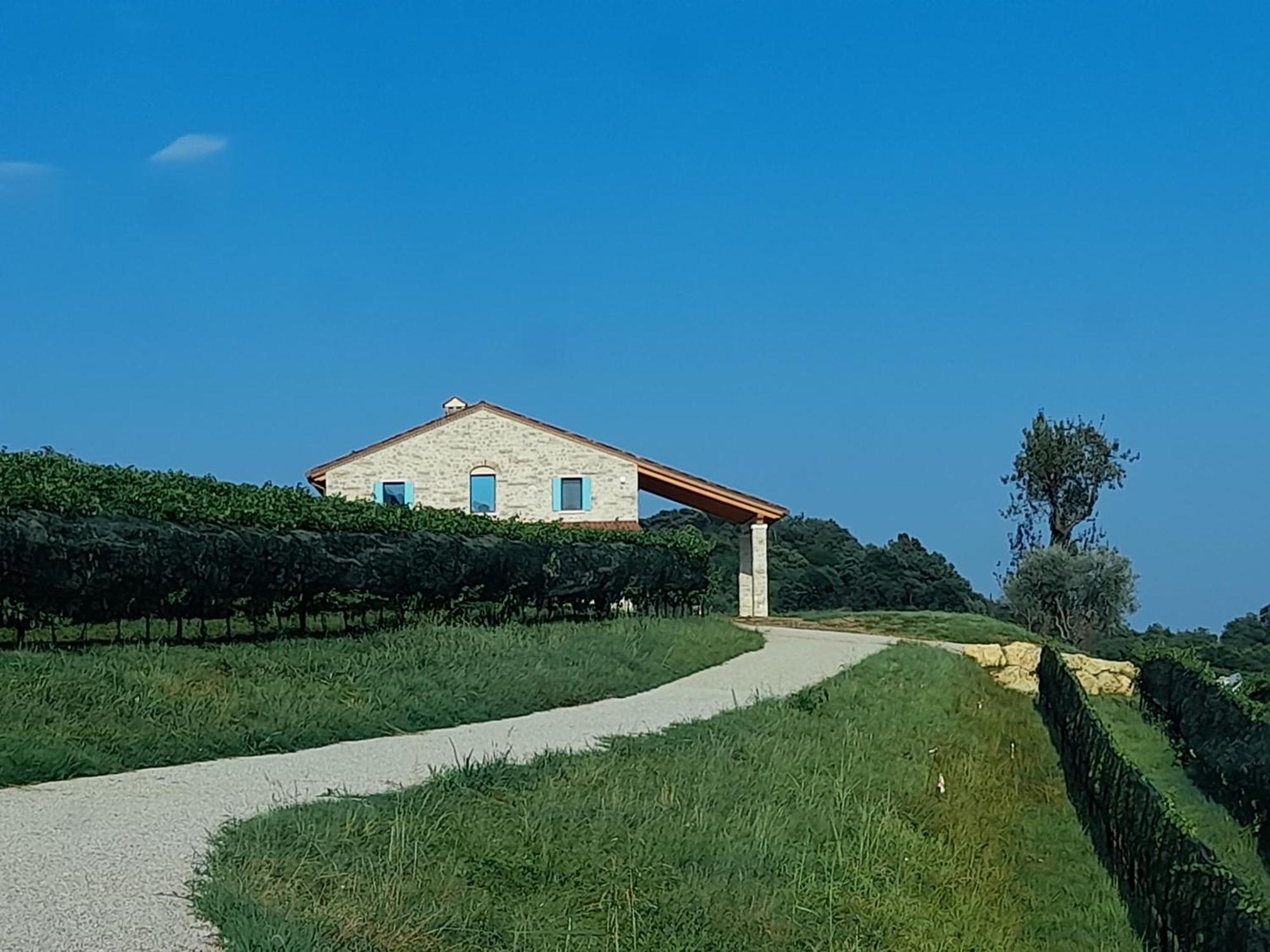 Agriturismo Riva Beata Cavaso Del Tomba المظهر الخارجي الصورة