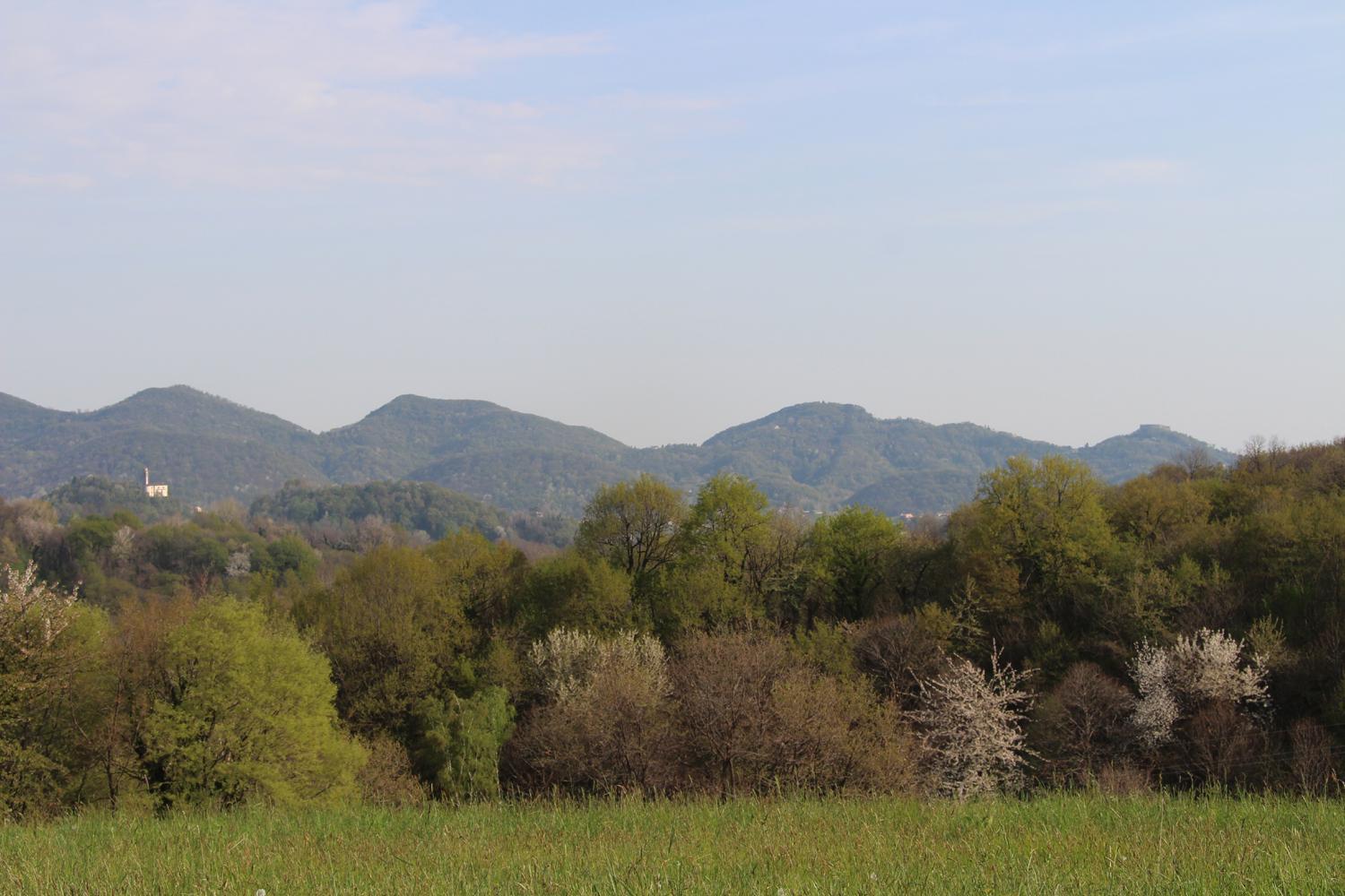 Agriturismo Riva Beata Cavaso Del Tomba المظهر الخارجي الصورة